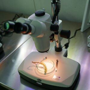 Microscope biologique binoculaire